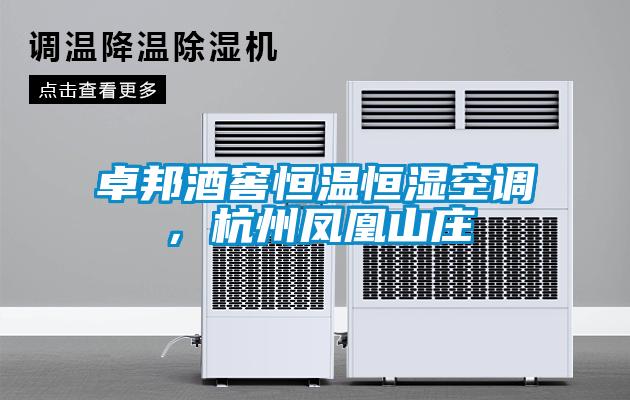 卓邦酒窖恒溫恒濕空調，杭州鳳凰山莊
