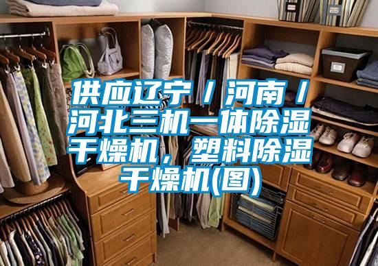供應(yīng)遼寧／河南／河北三機(jī)一體除濕干燥機(jī)，塑料除濕干燥機(jī)(圖)