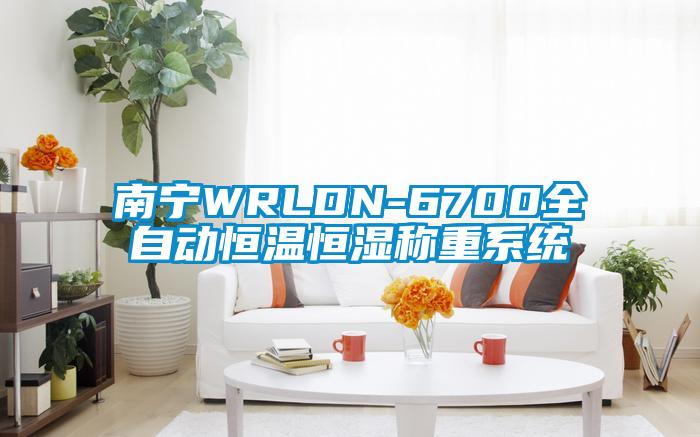 南寧WRLDN-6700全自動恒溫恒濕稱重系統