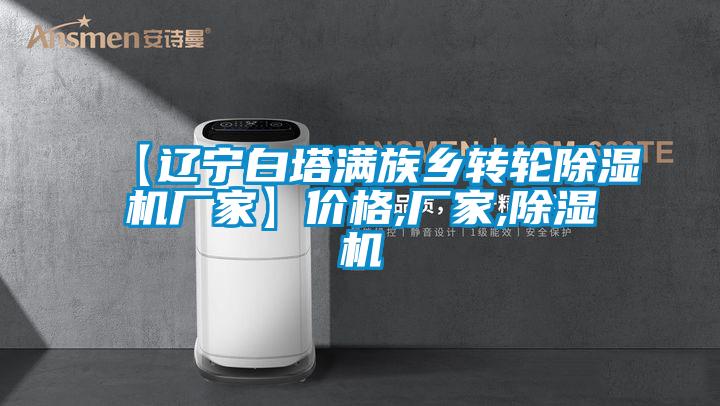 【遼寧白塔滿族鄉(xiāng)轉輪除濕機廠家】價格,廠家,除濕機