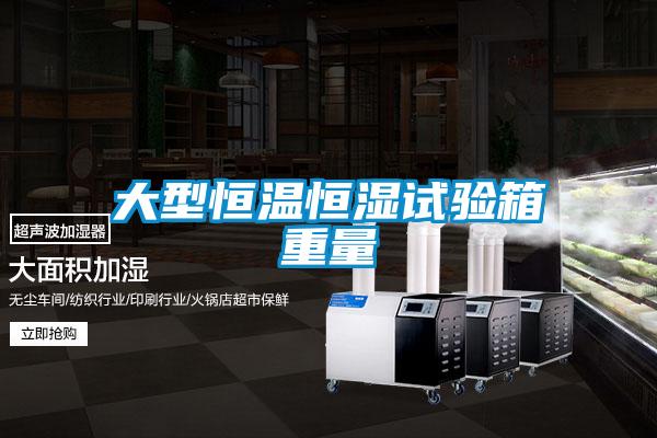 大型恒溫恒濕試驗(yàn)箱重量