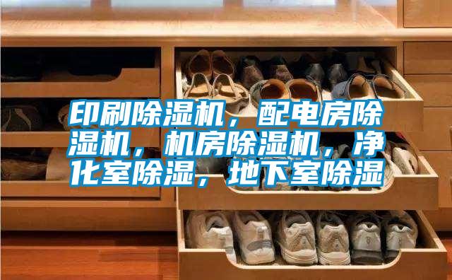 印刷除濕機，配電房除濕機，機房除濕機，凈化室除濕，地下室除濕