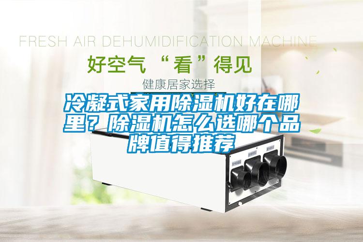 冷凝式家用除濕機(jī)好在哪里？除濕機(jī)怎么選哪個品牌值得推薦
