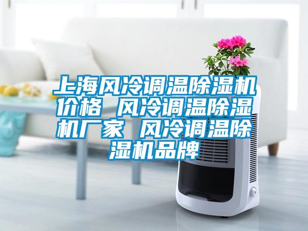 上海風冷調溫除濕機價格 風冷調溫除濕機廠家 風冷調溫除濕機品牌