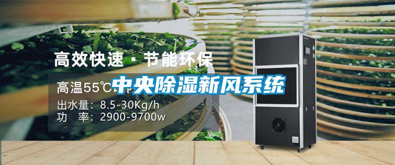 中央除濕新風系統