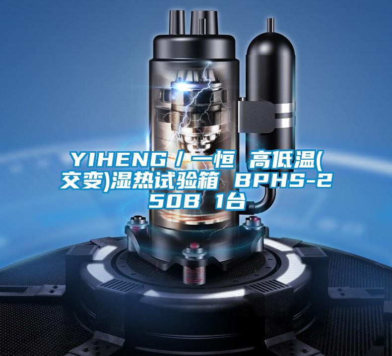 YIHENG／一恒 高低溫(交變)濕熱試驗(yàn)箱 BPHS-250B 1臺