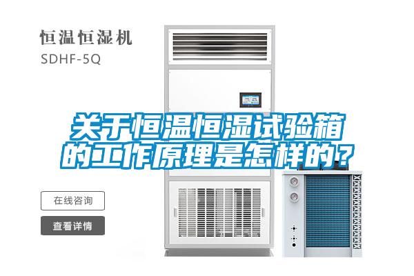 關于恒溫恒濕試驗箱的工作原理是怎樣的？