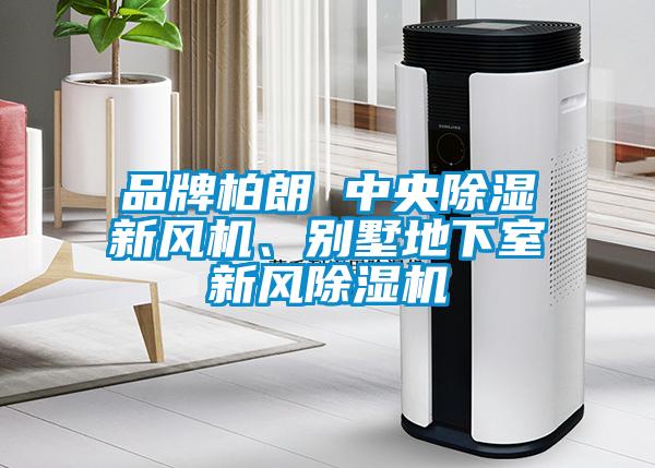品牌柏朗 中央除濕新風機、別墅地下室新風除濕機