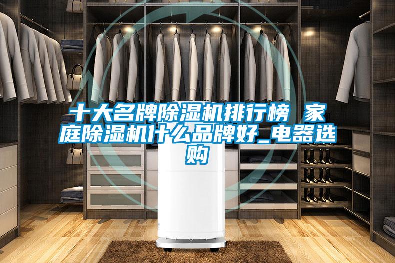 十大名牌除濕機(jī)排行榜 家庭除濕機(jī)什么品牌好_電器選購(gòu)
