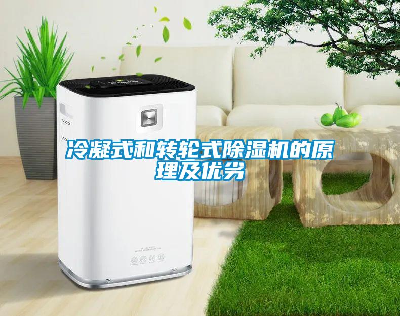 冷凝式和轉輪式除濕機的原理及優劣
