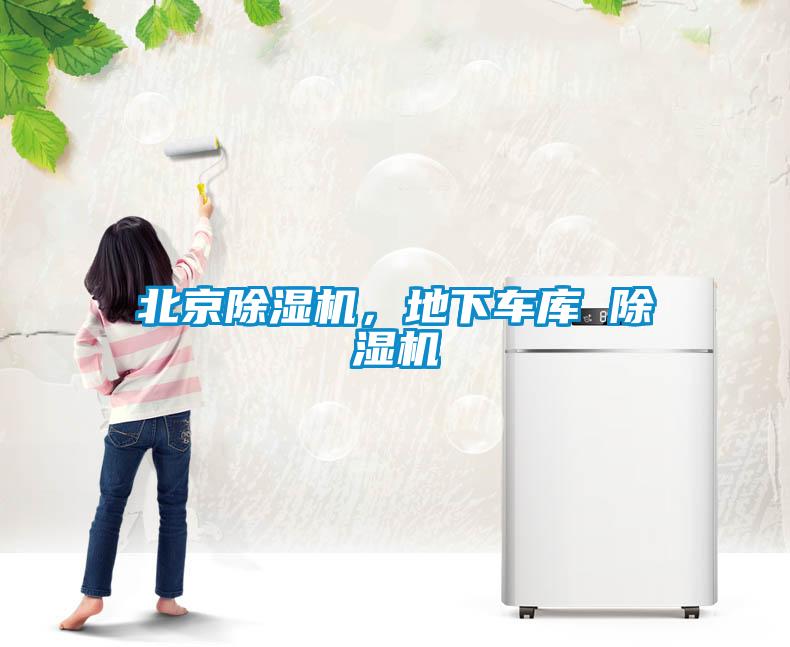 北京除濕機，地下車庫 除濕機