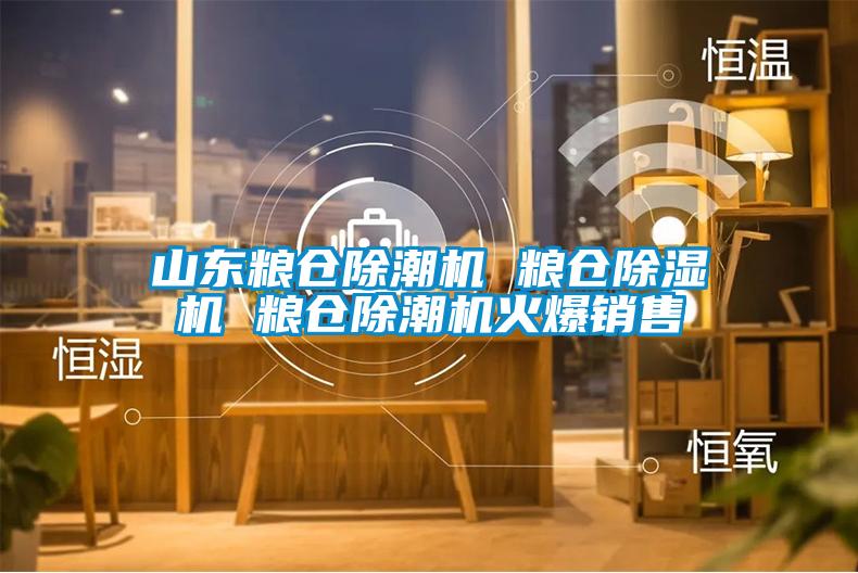 山東糧倉除潮機 糧倉除濕機 糧倉除潮機火爆銷售