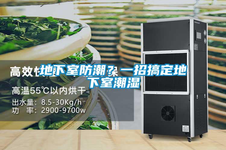 地下室防潮？一招搞定地下室潮濕