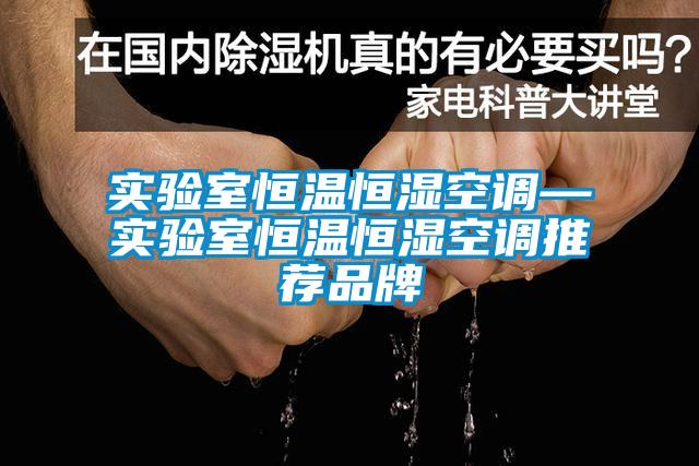 實(shí)驗(yàn)室恒溫恒濕空調(diào)—實(shí)驗(yàn)室恒溫恒濕空調(diào)推薦品牌