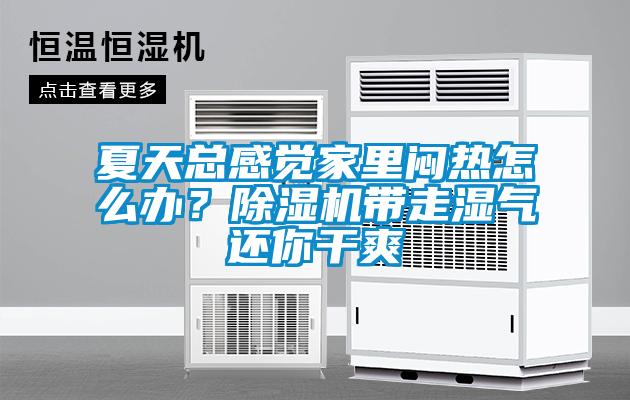 夏天總感覺家里悶熱怎么辦？除濕機帶走濕氣還你干爽