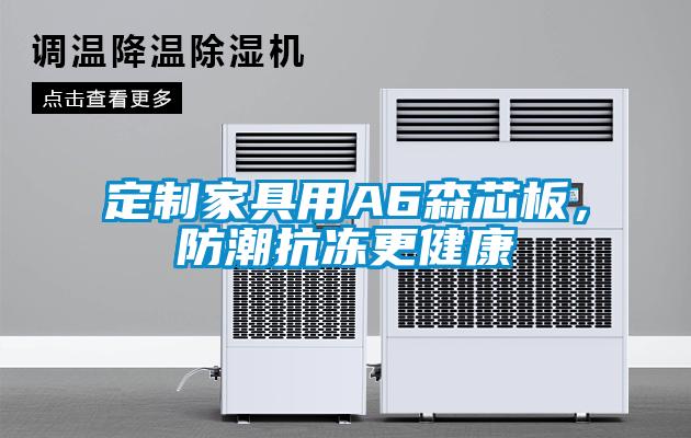 定制家具用A6森芯板，防潮抗凍更健康
