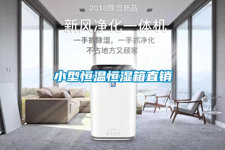 小型恒溫恒濕箱直銷
