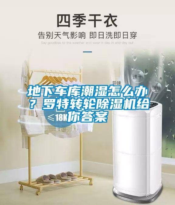 地下車庫潮濕怎么辦？羅特轉輪除濕機給你答案
