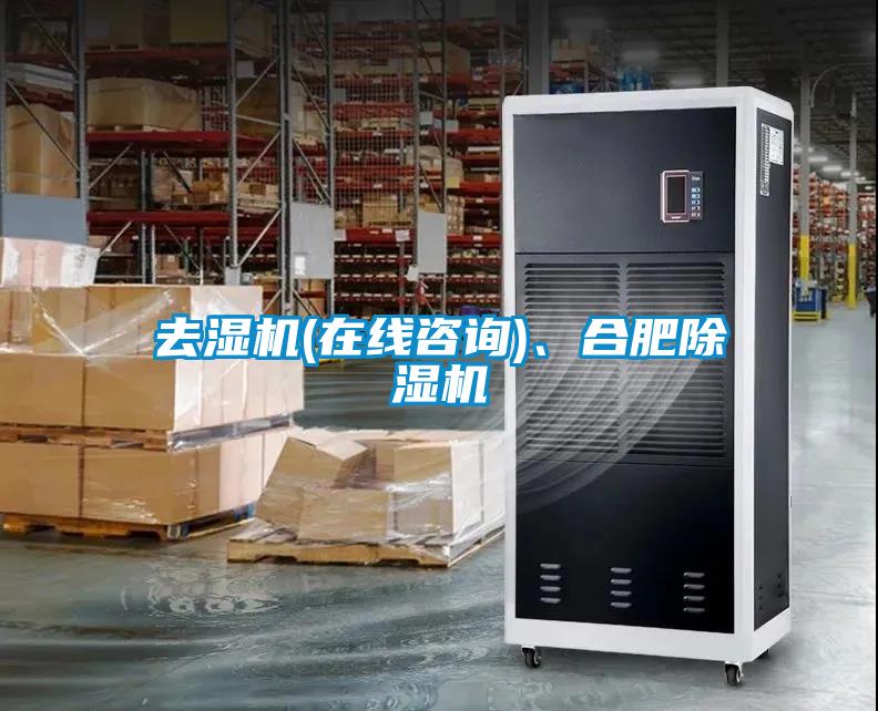 去濕機(jī)(在線咨詢)、合肥除濕機(jī)