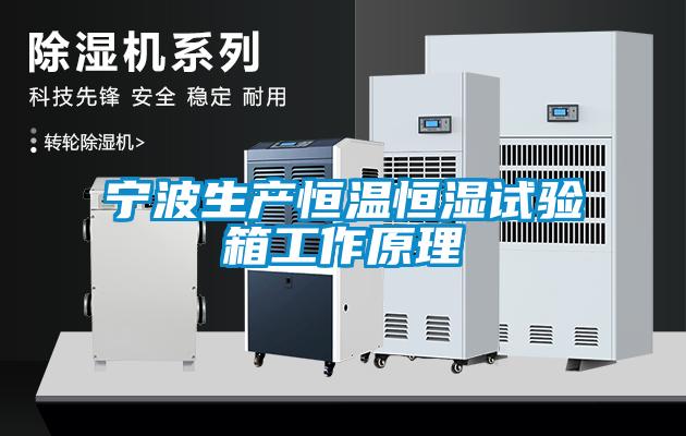 寧波生產恒溫恒濕試驗箱工作原理