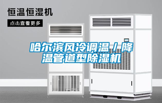 哈爾濱風冷調溫／降溫管道型除濕機
