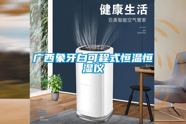 廣西象牙白可程式恒溫恒濕儀