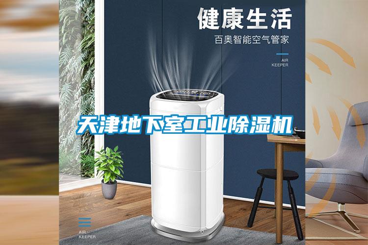 天津地下室工業(yè)除濕機(jī)