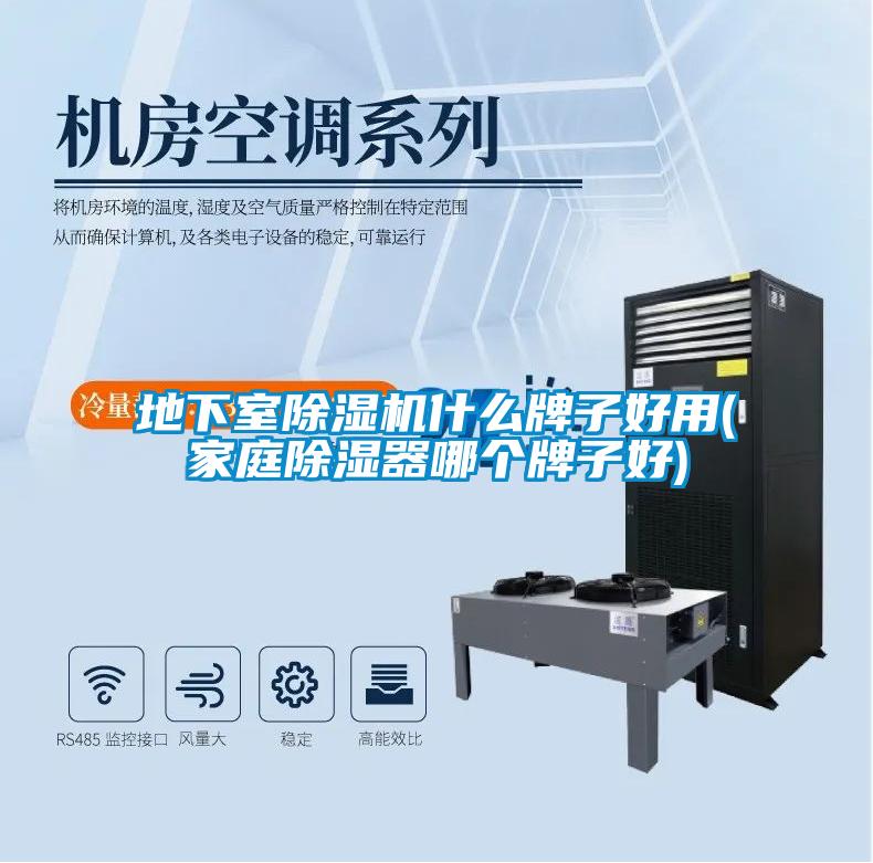 地下室除濕機什么牌子好用(家庭除濕器哪個牌子好)