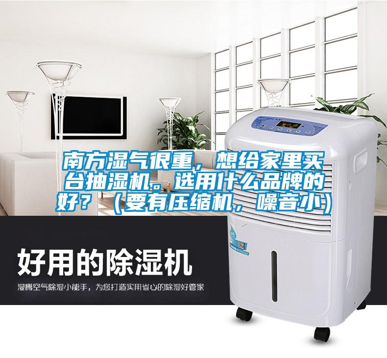 南方濕氣很重，想給家里買臺(tái)抽濕機(jī)。選用什么品牌的好？（要有壓縮機(jī)，噪音小）