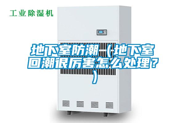 地下室防潮（地下室回潮很厲害怎么處理？）