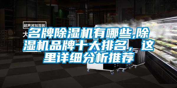 名牌除濕機有哪些,除濕機品牌十大排名，這里詳細分析推薦