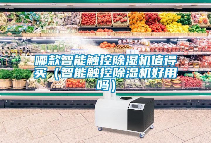 哪款智能觸控除濕機(jī)值得買（智能觸控除濕機(jī)好用嗎）