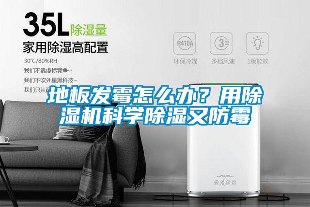地板發霉怎么辦？用除濕機科學除濕又防霉