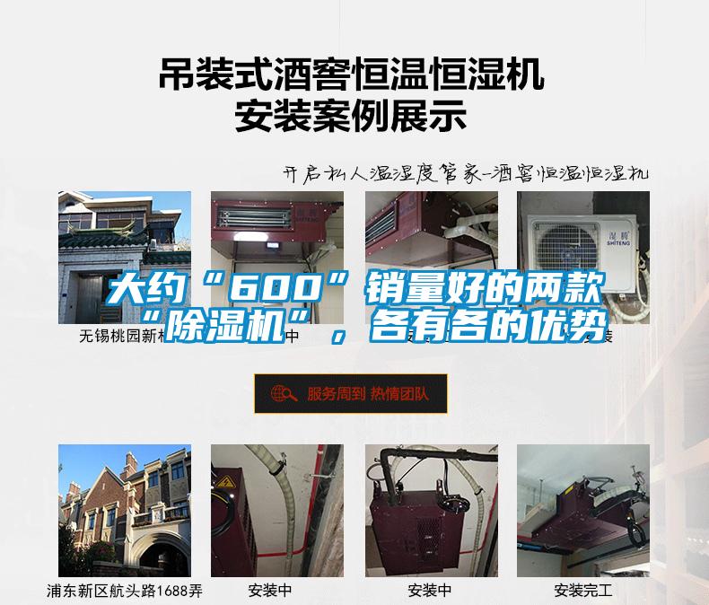 大約“600”銷量好的兩款“除濕機”，各有各的優勢