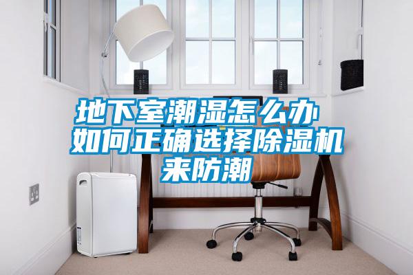 地下室潮濕怎么辦 如何正確選擇除濕機(jī)來防潮