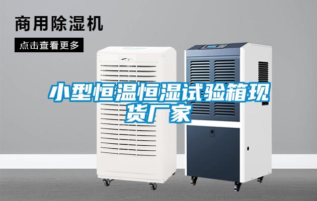 小型恒溫恒濕試驗箱現貨廠家