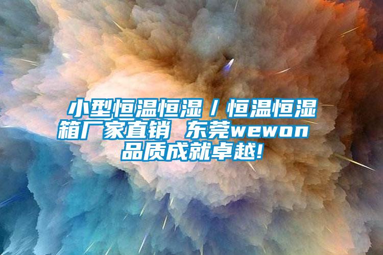 小型恒溫恒濕／恒溫恒濕箱廠家直銷 東莞wewon 品質成就卓越!