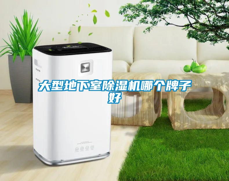 大型地下室除濕機哪個牌子好