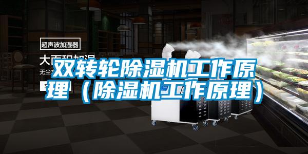 雙轉(zhuǎn)輪除濕機(jī)工作原理（除濕機(jī)工作原理）