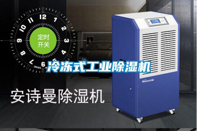 冷凍式工業(yè)除濕機(jī)