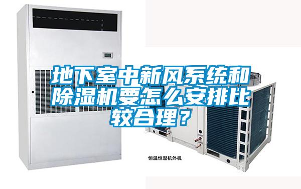 地下室中新風系統和除濕機要怎么安排比較合理？