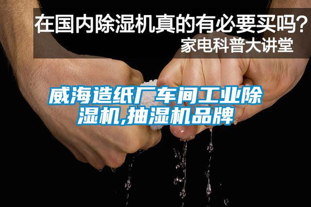 威海造紙廠車間工業(yè)除濕機,抽濕機品牌