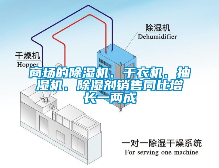 商場的除濕機、干衣機、抽濕機、除濕劑銷售同比增長一兩成