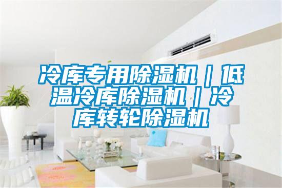 冷庫專用除濕機｜低溫冷庫除濕機｜冷庫轉輪除濕機