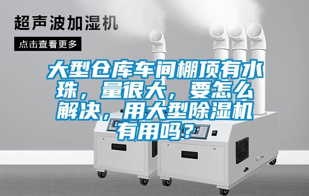 大型倉庫車間棚頂有水珠，量很大，要怎么解決，用大型除濕機有用嗎？