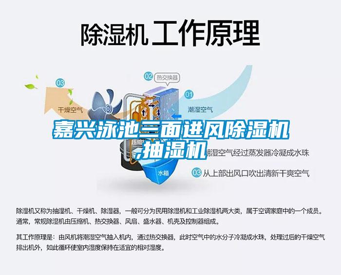 嘉興泳池三面進風除濕機,抽濕機