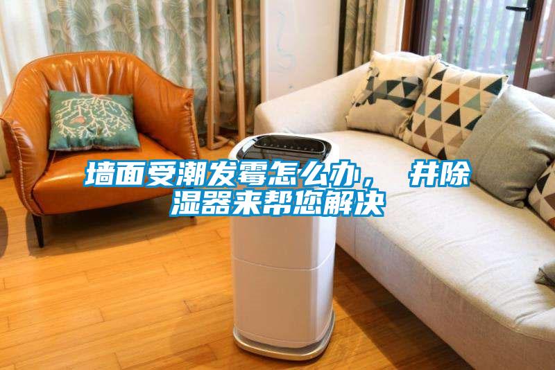 墻面受潮發(fā)霉怎么辦，東井除濕器來幫您解決