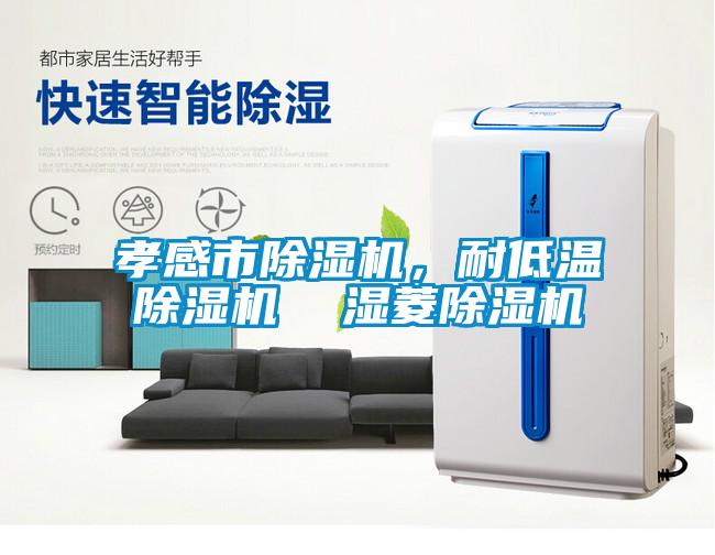 孝感市除濕機，耐低溫除濕機  濕菱除濕機