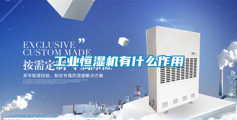 工業恒濕機有什么作用