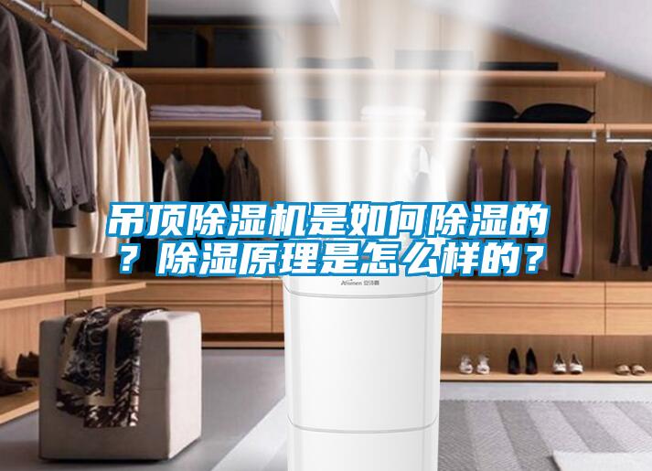 吊頂除濕機是如何除濕的？除濕原理是怎么樣的？